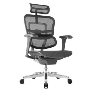 ERGOHUMAN Ultra II irodaszék - fekete váz