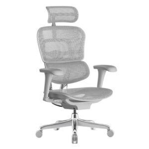 ERGOHUMAN Ultra II irodaszék - szürke váz